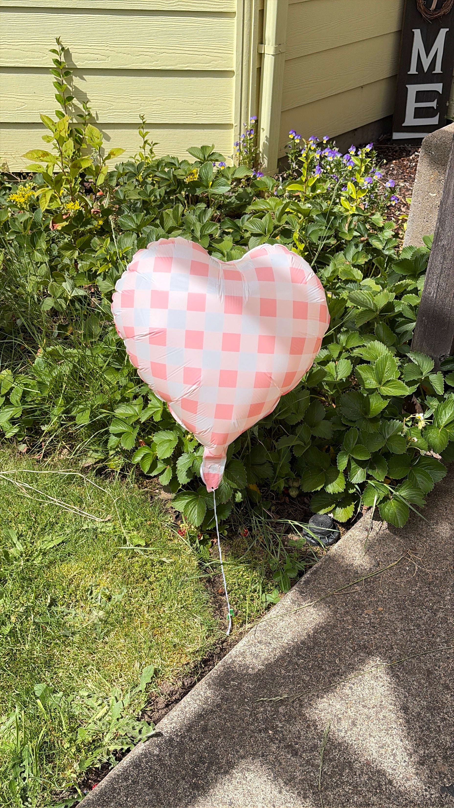 Balloon Yard Stakes * 25/bag